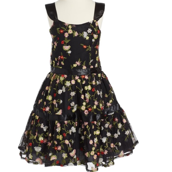 NWT Nanette Lepore Embroidered Mesh Dress Girls 14 - Picture 1 of 12